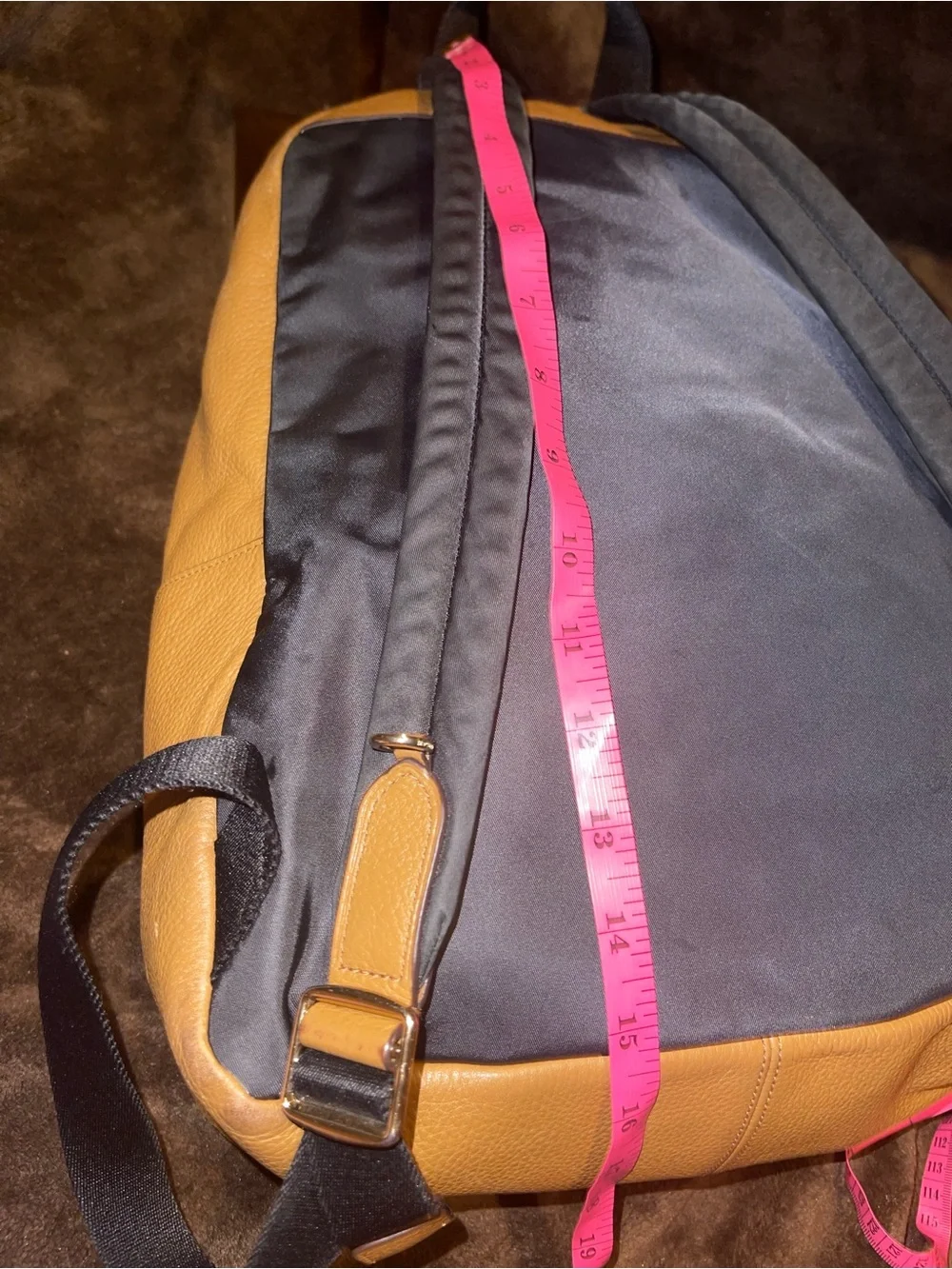 Coach up sale